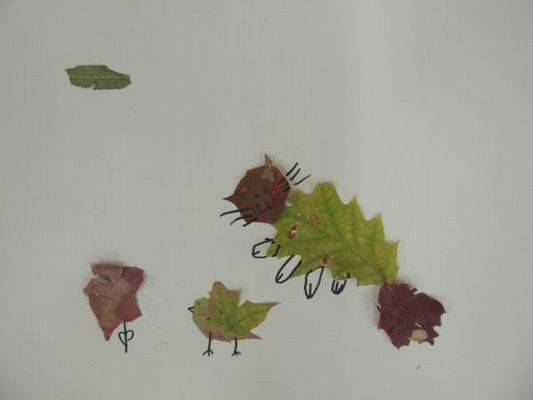  Grafika #14: Z darów jesieni grafika
