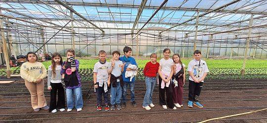 Wizyta klasy III B w szklarni